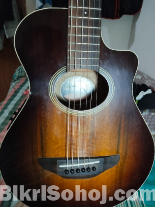 Yamaha apxt2